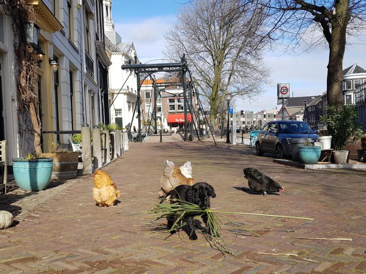 'T Hart Van Schiedam Exterior foto